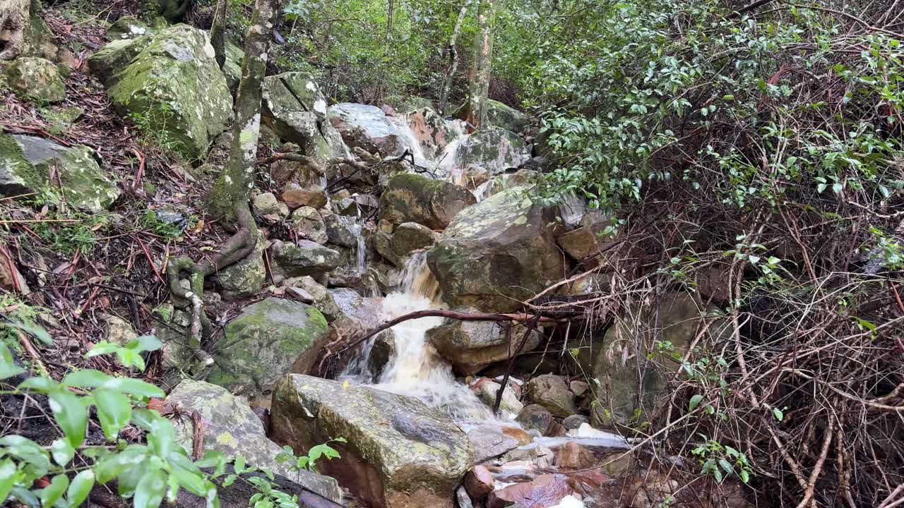 A little stream in the mountains of Cape Town, South Africa near Constantia