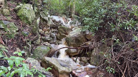 a little stream in the mountains of cape town, south africa near constantia