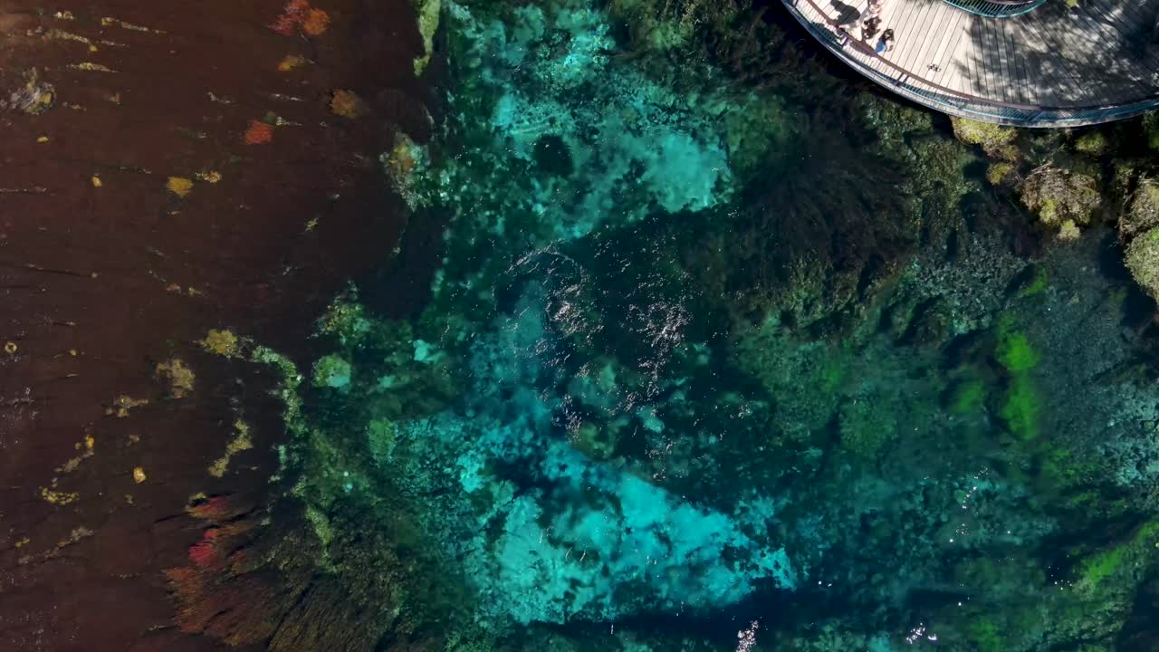Drone Descending At Blue Te Waikoropupu Springs In Takaka, New Zealand