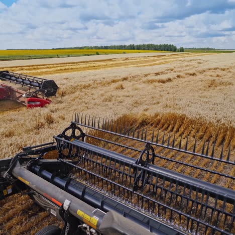 combine in the wheat field