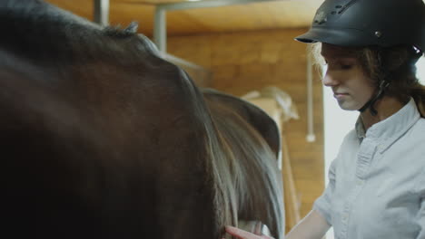 a woman grooming a horse in a stable