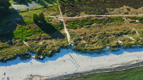 Aerial-View-Of-Lovely-White-Sand-Dunes-Along-A-Shallow-Sandy-Bay-In-Sandbybadet,-Öland,-Sweden-With-Lush-Meadow-Along-The-Seashore---ascending-drone-shot