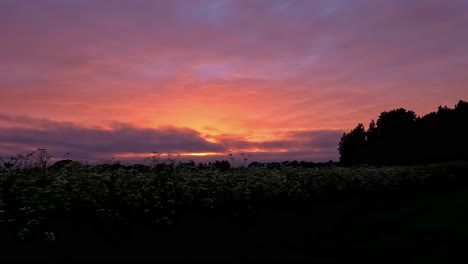 time lapse beautiful moving sky in rural landscape with wild flower field