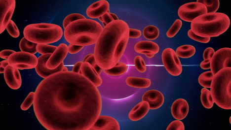 animation of blood cells over purple circles