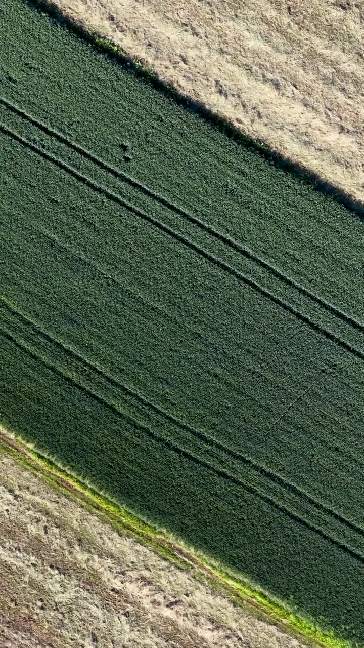 Aerial View of Contrasting Green Crop Field and Dry Fallow Land