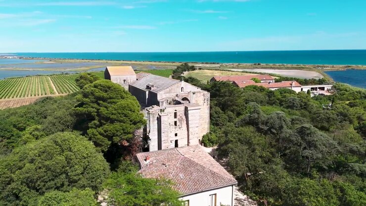 Panoramica di un antico edificio in pietra circondato da alberi rigogliosi con il mare e le saline sullo sfondo vicino a La Rochelle, in Francia