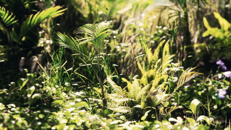 close up jungle grass and plants