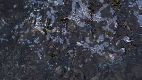 burbujas de agua bajando