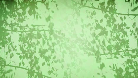 silhouetted foliage against a green sky