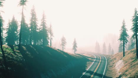 road-through-the-russian-taiga-forest-from-aerial-view