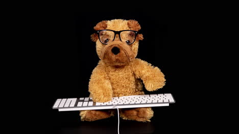 teddy bear with glasses working on a keyboard