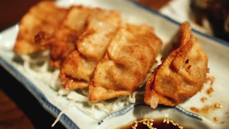 se sirven deliciosos platos de gyoza y yakisoba