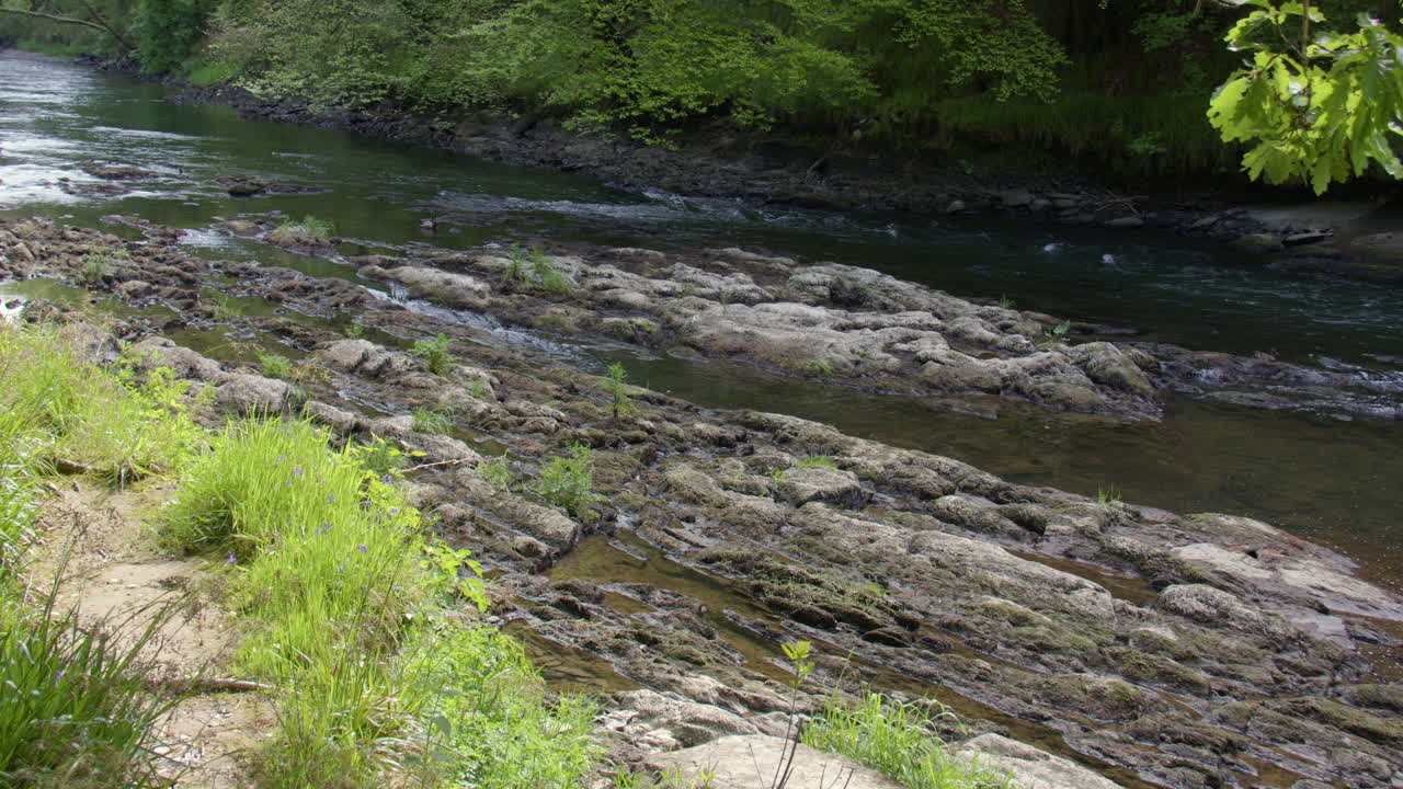 Campo lungo del fiume Teifi che scorre dolcemente sulle rocce alle cascate di Cenarth
