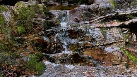cascada que fluye en medio de la vegetación exuberante y las rocas