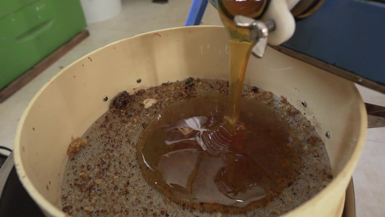 Miele che scorre da una macchina di estrazione industriale in un contenitore pieno di residui di favo, catturando un momento chiave nel processo di produzione del miele, mostrando il liquido dorato in movimento