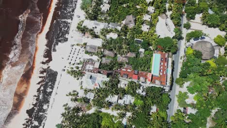 health hazard, ocean seaweed contamination, luxury beach holiday resorts