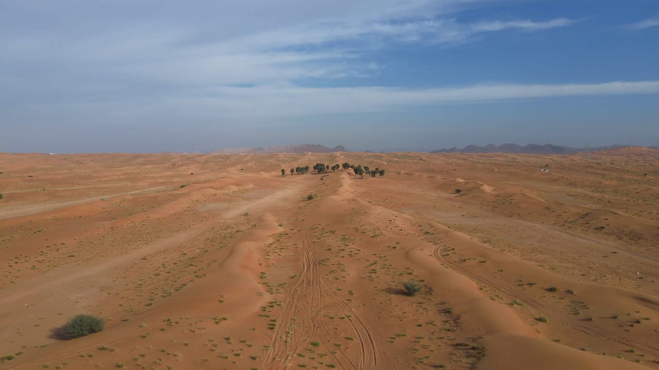 VISTA DALL'ALTO: Deserto con sabbia dorata e alberi negli Emirati Arabi Uniti