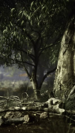 a sturdy tree stands among twisting roots and soft foliage dusk light filters through