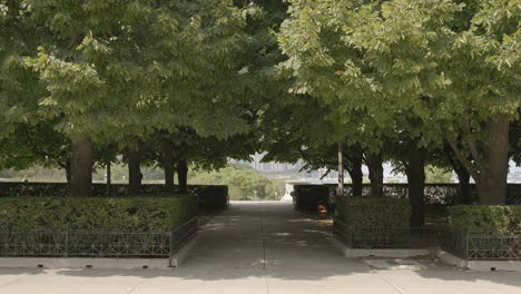 Slow-push-down-a-tree-lined-walkway-in-a-garden-in-Chicago-near-Lake-Michigan-on-a-summer-day