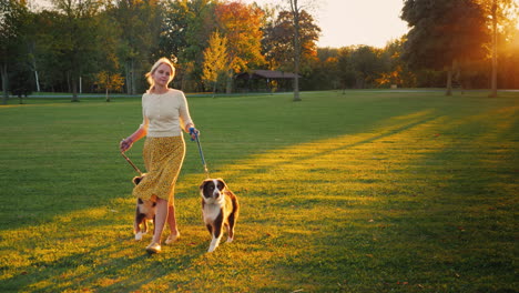 Herbstspaziergang-Im-Park-Mit-Zwei-Haustieren-Frau,-Die-Mit-Ihren-Hunden-Spazieren-Geht