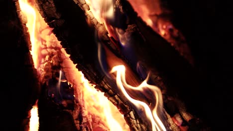 close-up of a flame. wood burning slow motion