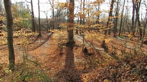 el otoño tiene la magia de transformar incluso los lugares desolados en una hermosa escena. este es un parque comparativamente desatendido en buffalo y ningún cuerpo visita aquí,