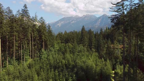 Wunderschöne-Luftaufnahme-Der-österreichischen-Alpen-Im-Hintergrund,-Hohe-Bäume,-Dolly-Draußen