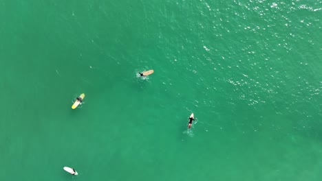 aerial view of surfers in the ocean