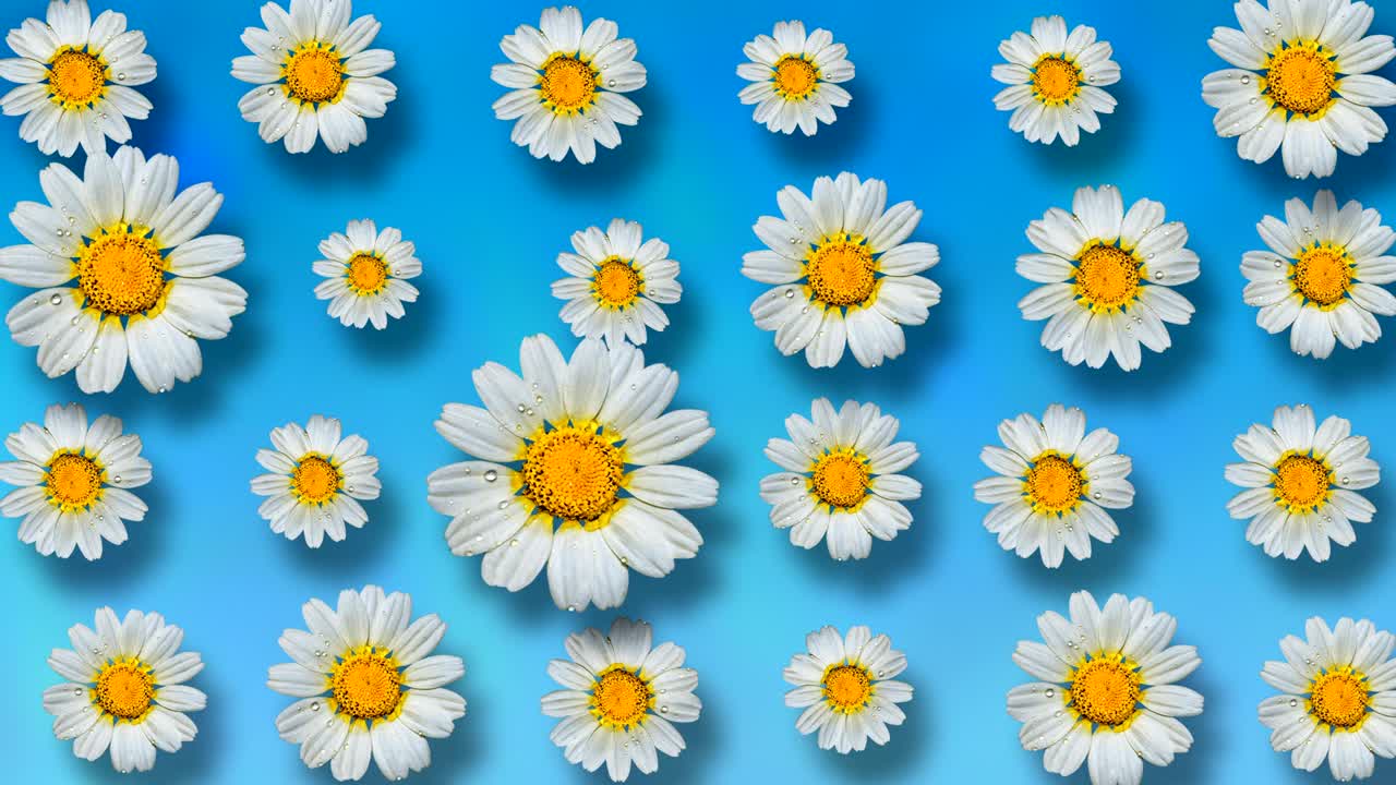 hermoso fondo floral animado de verano