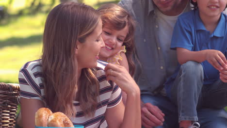 happy family on a picnic in the park