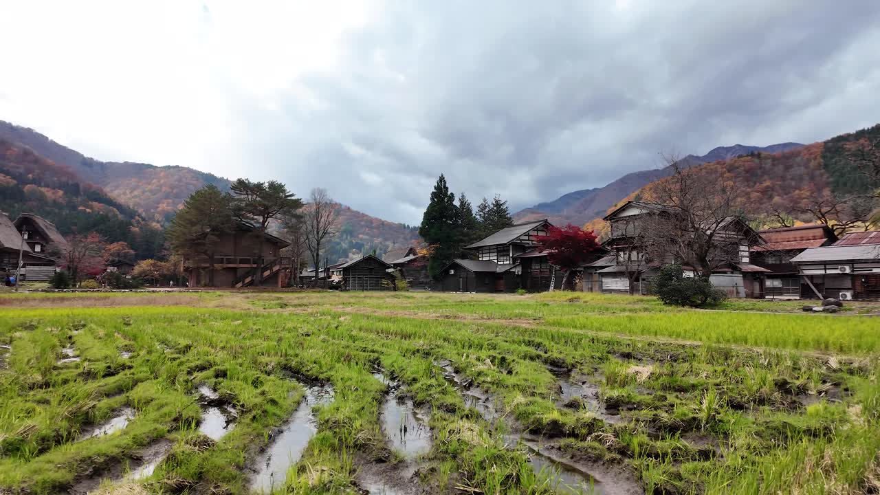 Traditional gassho style farmhouses of Shirakawa go Village are bordering flooded rice fields in late autumn, Japan