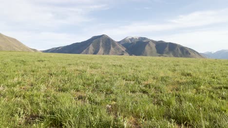 pradera y cordillera wasatch, tenedor español utah, tiro de ángulo bajo