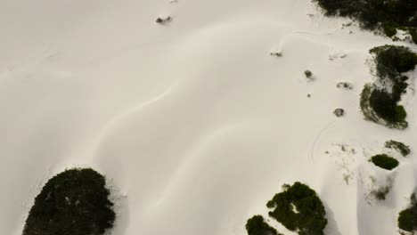 revelar toma de horizonte de dunas