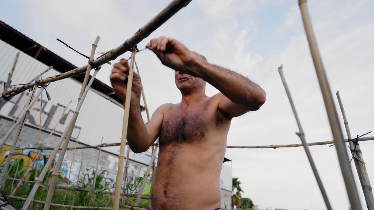 Shirtless gardener building bamboo trellis in urban garden