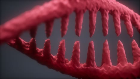 dna molecule on the grey background
