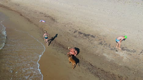 aerial footage of woman in bikini playing with vizsla dog on baltic sea shoreline joyful summer scene on a sunny day captured by drone on scenic latvian coast