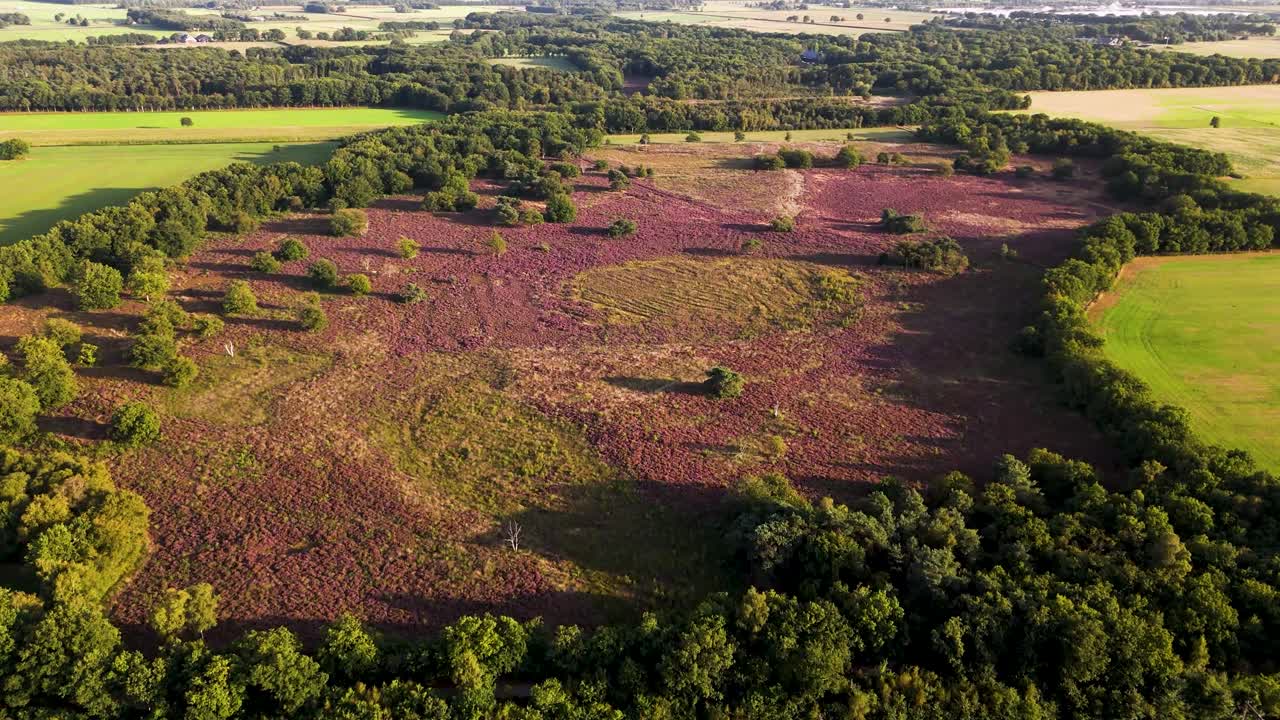 Aerial view of a heathland landscape with fields and forest