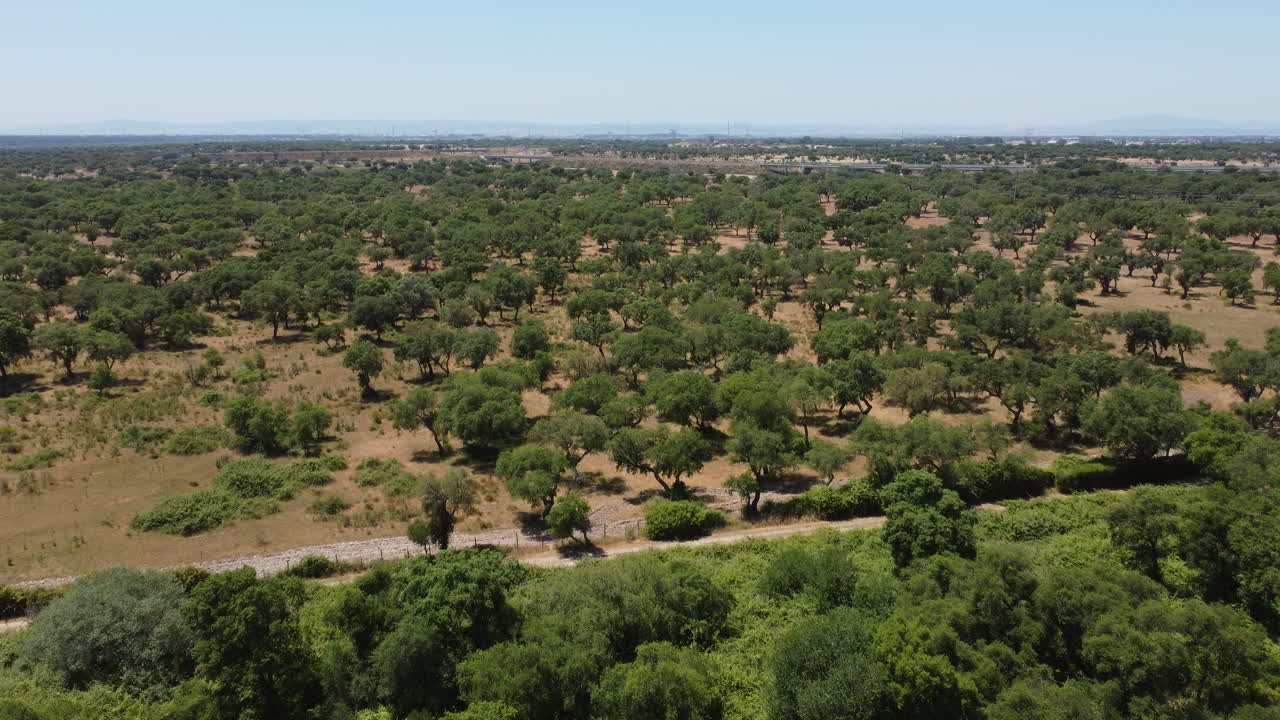 Magnifico paesaggio rurale verde portoghese ripreso dall'alto alla luce del giorno - ambiente rurale.