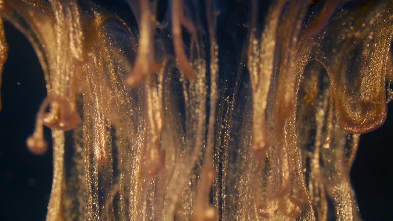 황금 잉크 입자는 검은 바탕에 다채로운 혼란으로 물에 흐른다.