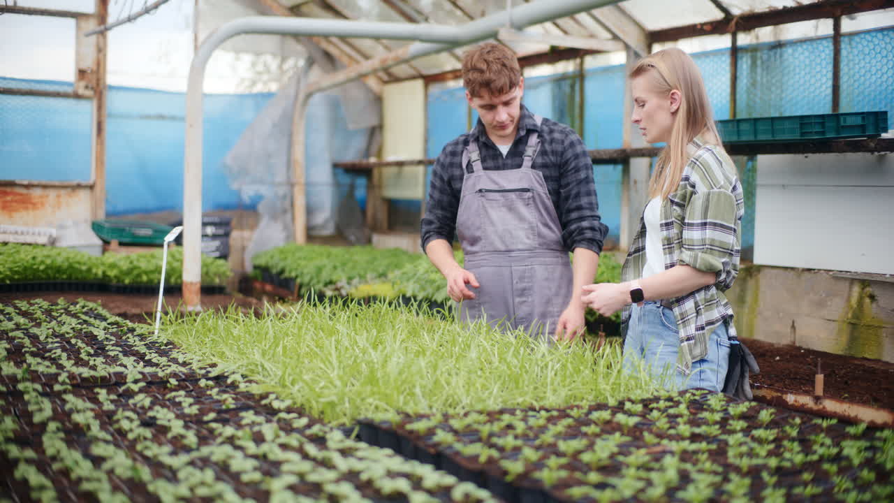 Agronom rozmawiający z rolnikiem w szklarni.