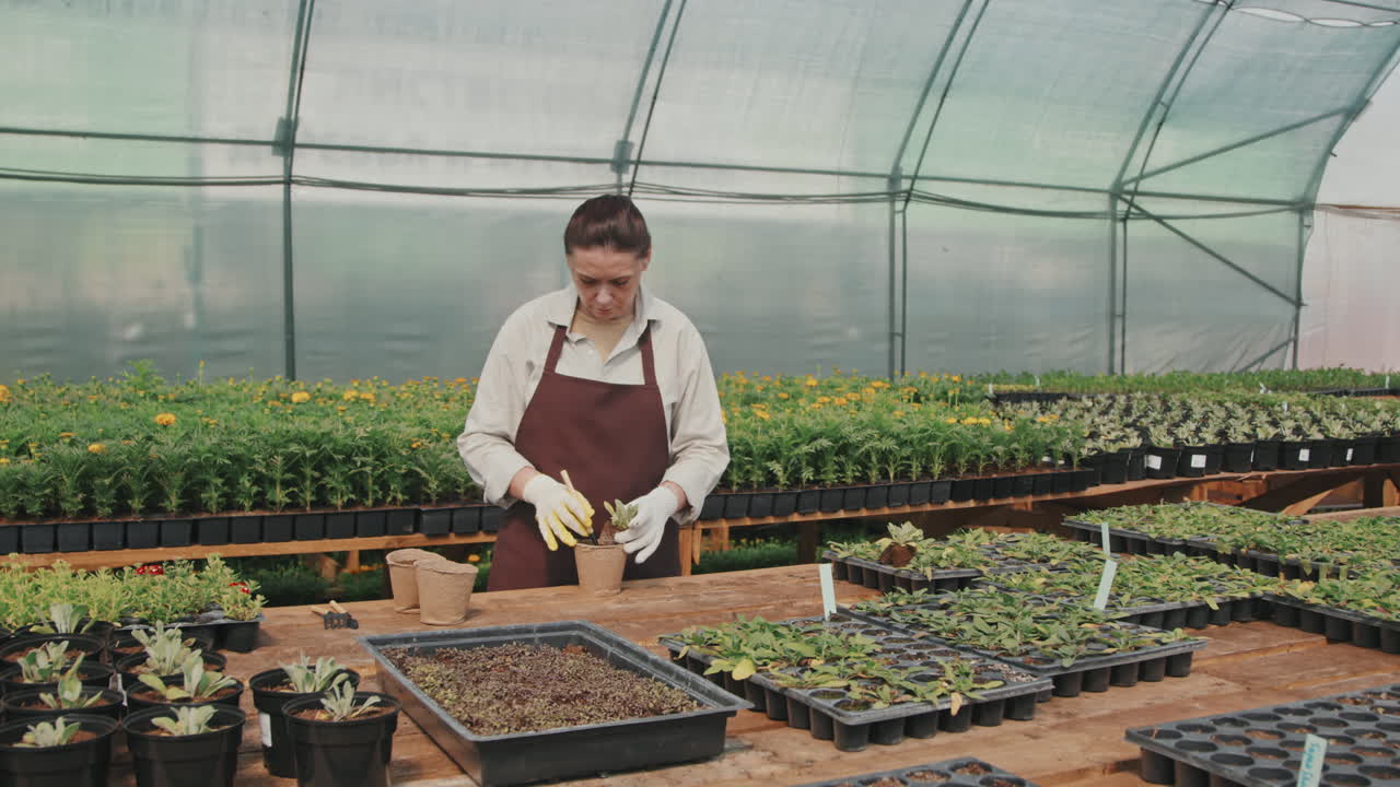 Gardener Planting Seeds in Pot