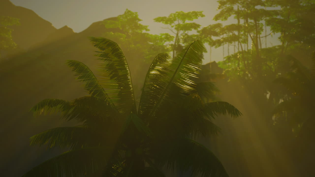 bosque tropical con palmeras y luz solar