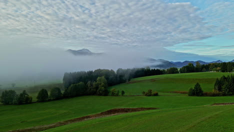 fog moving over a meadow in austria at daylight