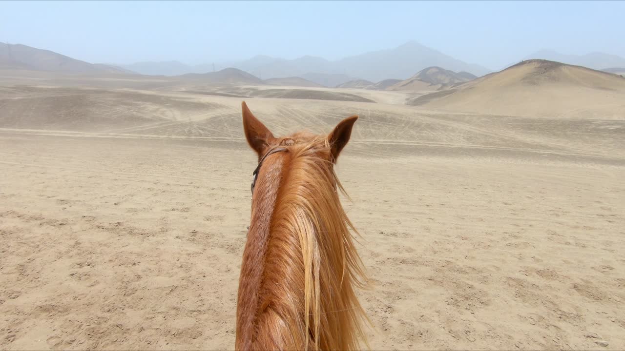 caballo castaño estático contemplando el paisaje desierto, montando pov