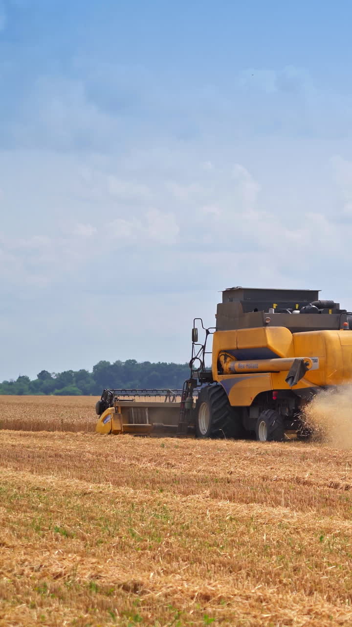 Big agricultural combine harvesting in field. Farming food golden landscapes. Vertical video