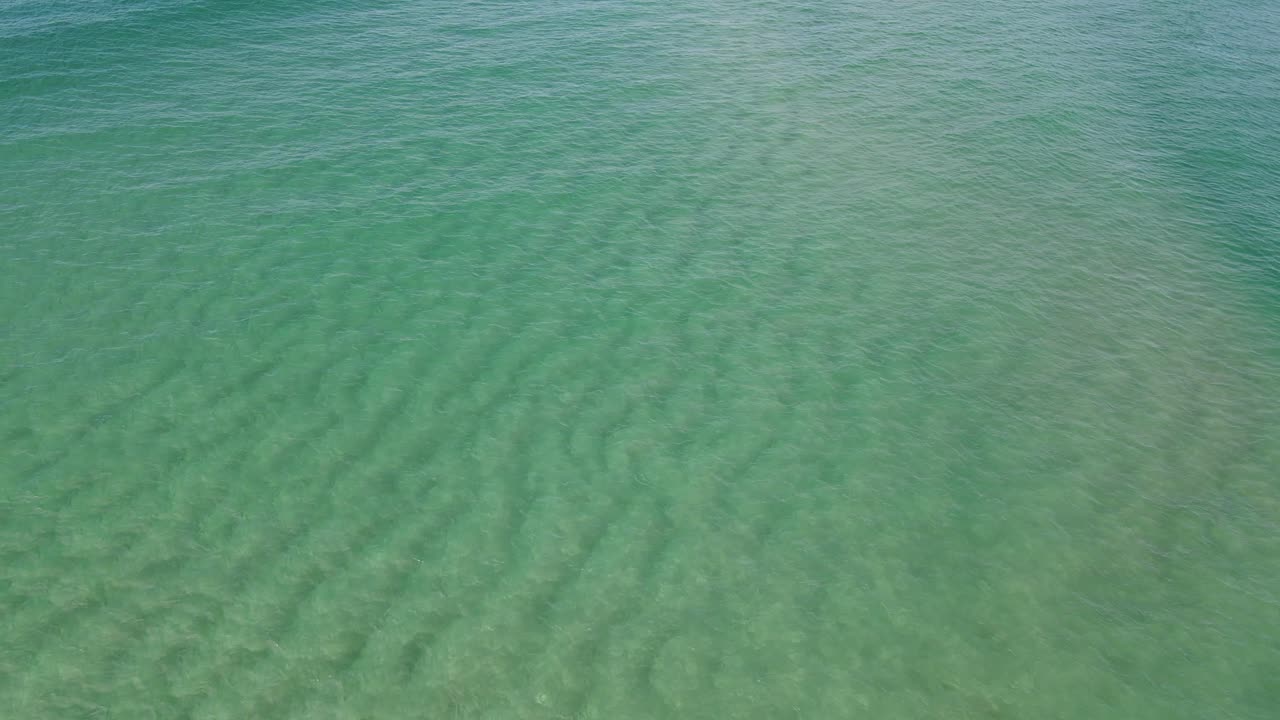 골드 코스트, qld, 호주의 팜 비치에서 모래 바닥이있는 맑고 푸른 바닷물