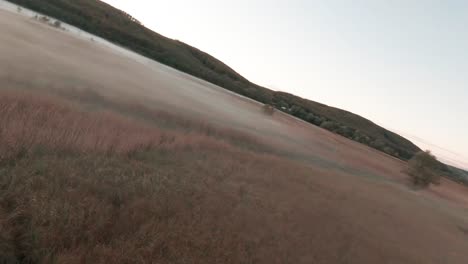 aerial drone footage capturing misty wetlands near lake balaton in hungary