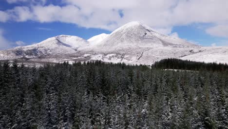 High-pine-trees-with-in-the-background-the-Beinn-na-Caillich-at-Isle-of-Skye-in-Scotland