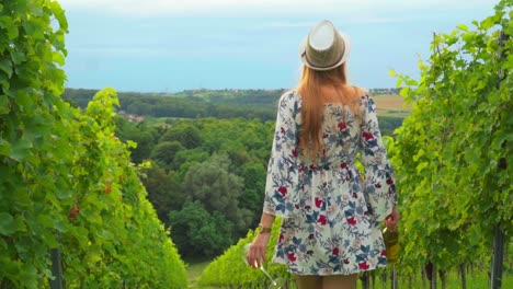 Atemberaubende-HD-Aufnahmen-Einer-Jungen-Weißen-Kaukasischen-Frau-Mit-Strickmütze,-Kleid-Und-Rotem-Lippenstift,-Die-Mit-Einer-Flasche-Wein-Und-Einem-Glas-In-Der-Hand-Durch-Weinberge-Geht