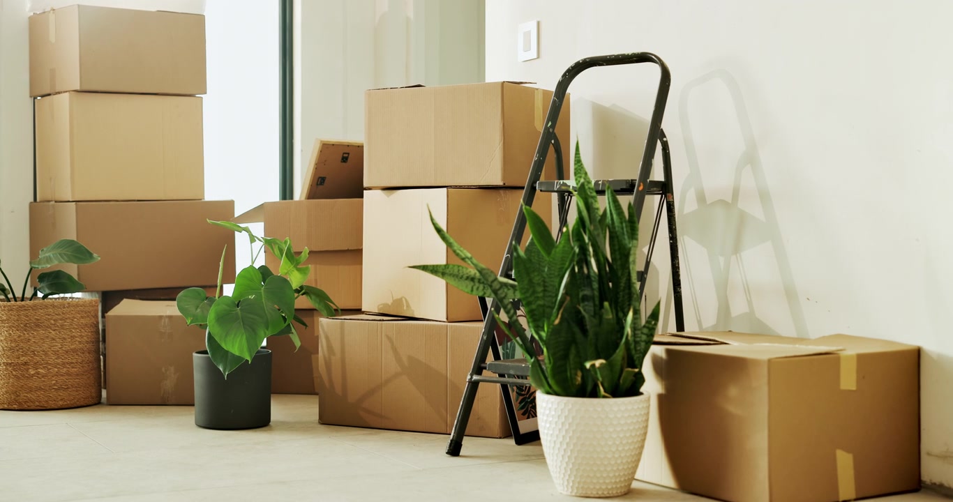 Cardboard Moving Boxes and Houseplants in a New Home